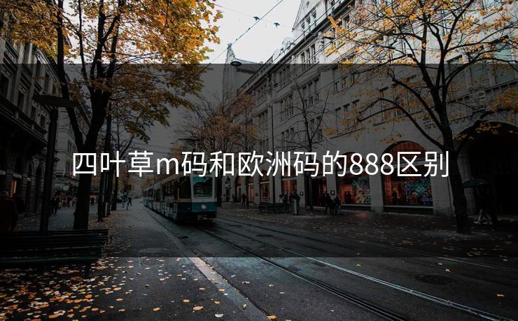 四叶草m码和欧洲码的888区别